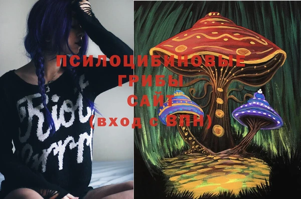 бошки Арсеньев